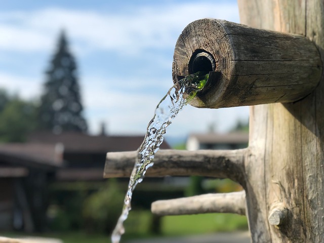 víz a kertben
